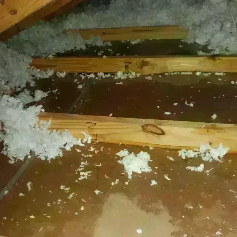 Attic Water Damage in Bryan, TX