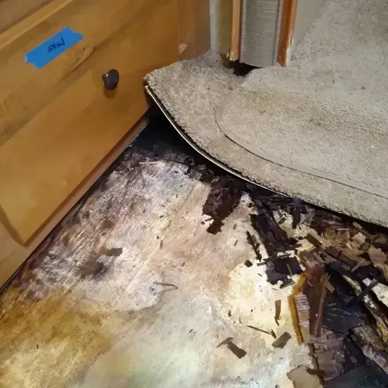 Wood Floor Water Damage in Bryan, TX